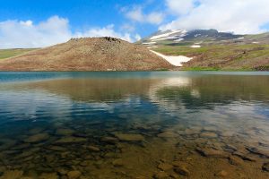 Kari Lake, Armenia