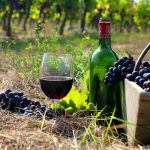 Armenian Vine