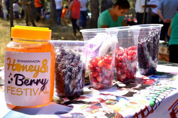 Honey and Berry Festival, Berd Tavush